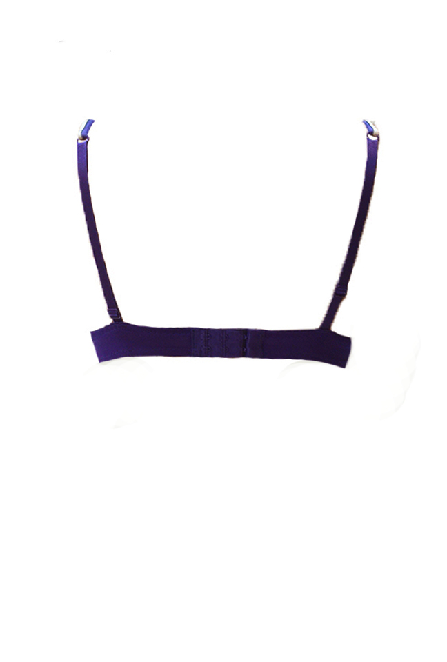 Soutien gorge Rayé bleu roi et blanc